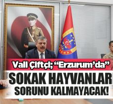 Erzurum Valisi Mustafa Çiftçi; “Erzurum’da sokak hayvanları sorunu kalmayacak dedi!………”