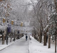 Erzurum’da soğuk havanın etkisiyle kırağı tutan ağaçlar görsel şölen sundu………………………..