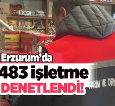 Erzurum’da yem ve gıda ile temas eden malzeme üreten işletmelere yönelik denetimler sürüyor.