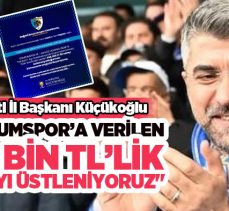 AK Parti Erzurum İl Başkanı Av. İbrahim Küçükoğlu, “558 bin TL’lik cezayı üstleniyoruz….”