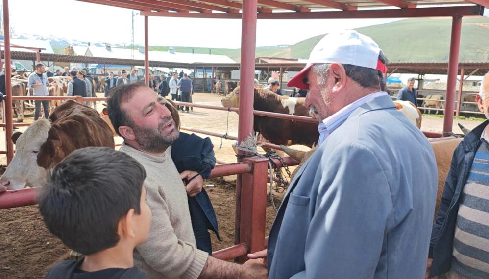 Kurban Bayramı öncesi Erzurum’un Aşkale ilçesinde kurban pazarı hareketlenmeye başladı.