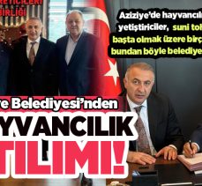 Aziziye Belediyesi’nden, yöre hayvancılığına eski dinamizmini yeniden kazandıracak bir çalışma….