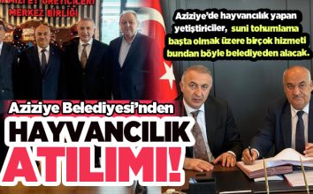 Aziziye Belediyesi’nden, yöre hayvancılığına eski dinamizmini yeniden kazandıracak bir çalışma….