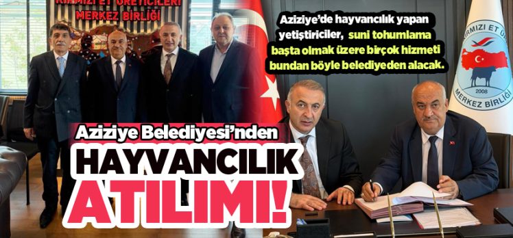 Aziziye Belediyesi’nden, yöre hayvancılığına eski dinamizmini yeniden kazandıracak bir çalışma….