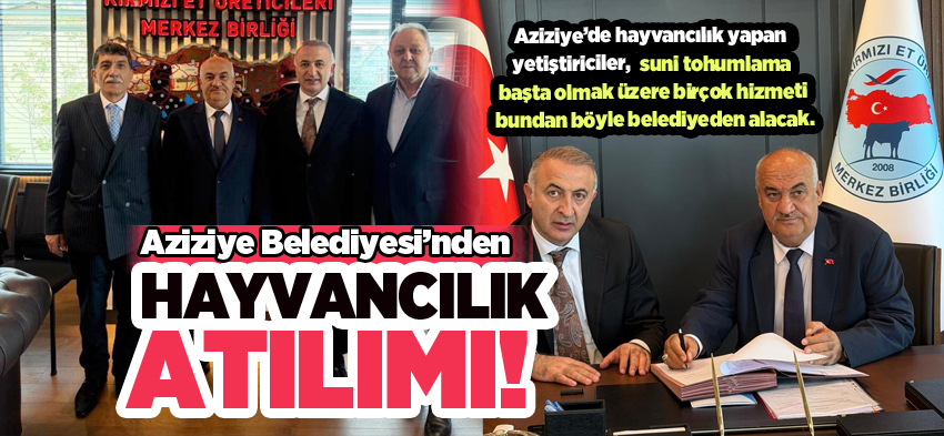 Aziziye Belediyesi’nden, yöre hayvancılığına eski dinamizmini yeniden kazandıracak bir çalışma….