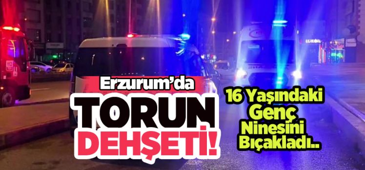 Erzurum’da aile içi dehşet: 16 yaşındaki genç torun tartıştığı ninesini bıçakla yaraladı…