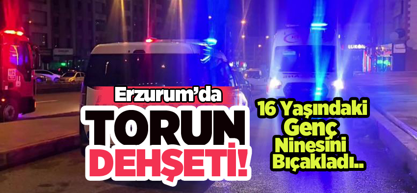 Erzurum’da aile içi dehşet: 16 yaşındaki genç torun tartıştığı ninesini bıçakla yaraladı…